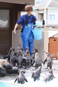 11 【下田海中水族館】ペンギン餌付けショー